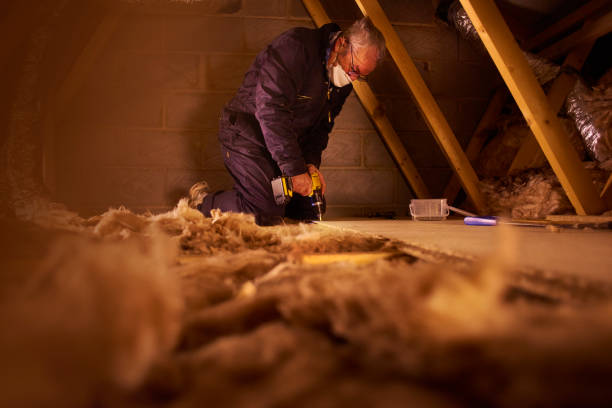 Best Eco-Friendly or Green Insulation Solutions  in Black River, NY